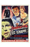 Curse of Frankenstein Movie Poster Print
