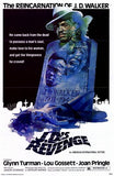 J D's Revenge Movie Poster Print