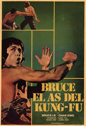 Bruce and Shao-Lin Kung Fu Movie Poster Print