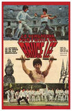 Bruce Lee: the Man  the Myth Movie Poster Print