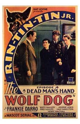 The Wolf Dog Movie Poster Print