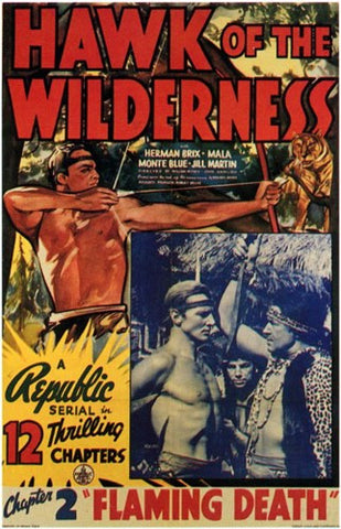 Hawk of the Wilderness Movie Poster Print