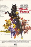 Black Beauty Movie Poster Print