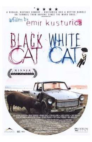 Black Cat  White Cat Movie Poster Print