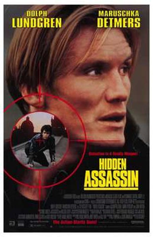 Hidden Assassin Movie Poster Print