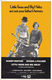 Little Fauss and Big Halsy Movie Poster Print