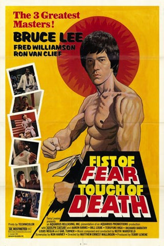 Fist of Fear  Touch of Death Movie Poster Print