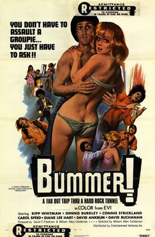 Bummer Movie Poster Print