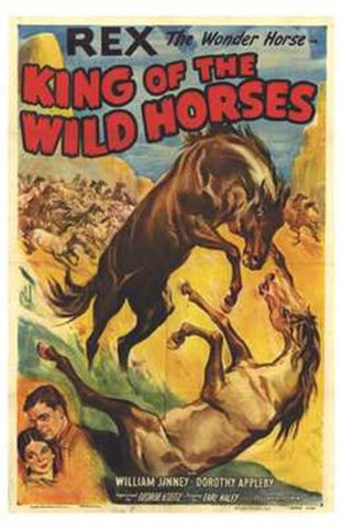 King of the Wild Horses Movie Poster Print