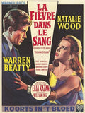 Splendor in the Grass Movie Poster Print