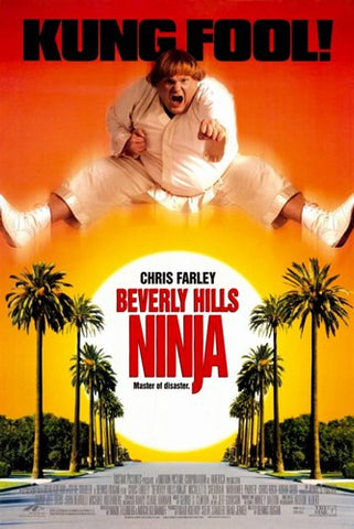 Beverly Hills Ninja Movie Poster Print