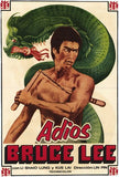 Goodbye Bruce Lee Movie Poster Print