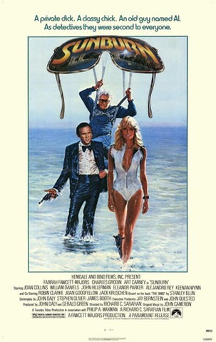 Sunburn Movie Poster Print