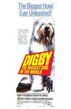 Digby  the Biggest Dog in World Movie Poster Print