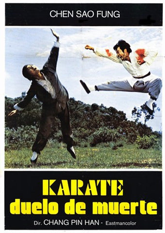 Karate Death Duel Movie Poster Print