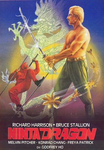 Ninja Dragon Movie Poster Print