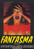 Phantasm Movie Poster Print