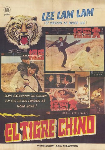 Kung Fu: The Punch of Death Movie Poster Print