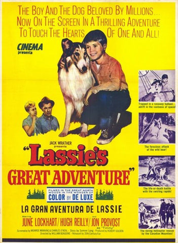 Lassie's Great Adventure Movie Poster Print