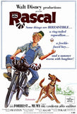Rascal Movie Poster Print