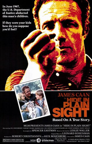 Hide in Plain Sight Movie Poster Print