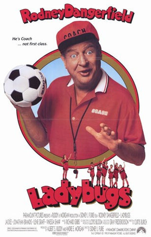 Ladybugs Movie Poster Print