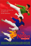 3 Ninjas Kick Back Movie Poster Print