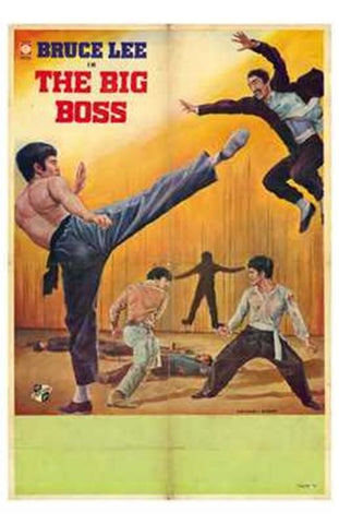 Big Boss Movie Poster Print