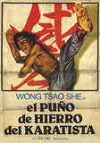 Punisher of Iron Karate Movie Poster Print