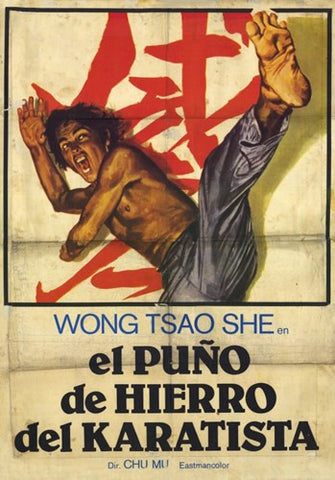 Punisher of Iron Karate Movie Poster Print