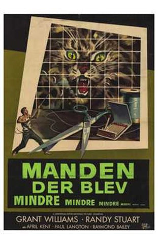 The Incredible Shrinking Man Movie Poster Print