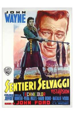 The Searchers Movie Poster Print