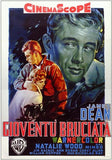 Rebel Without a Cause Movie Poster Print