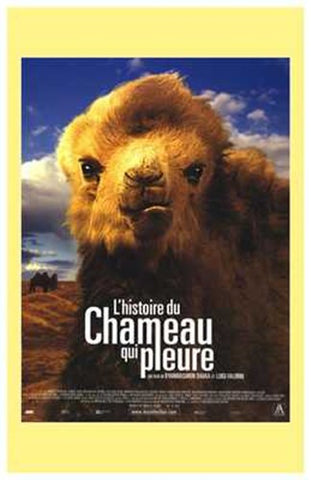 The Story of the Weeping Camel Movie Poster Print