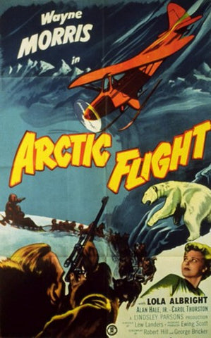 Arctic Flight Movie Poster Print