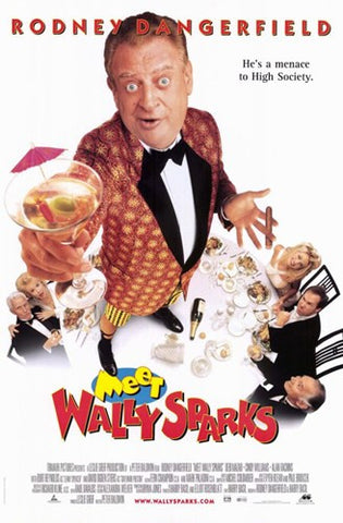Meet Wally Sparks Movie Poster Print