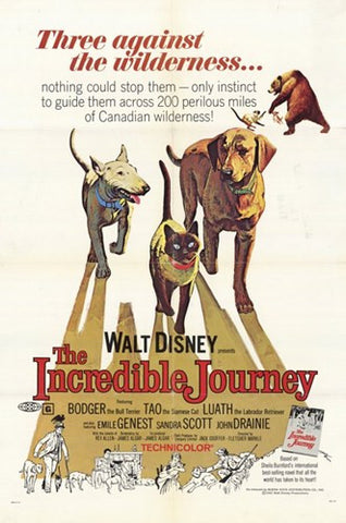 The Incredible Journey Movie Poster Print