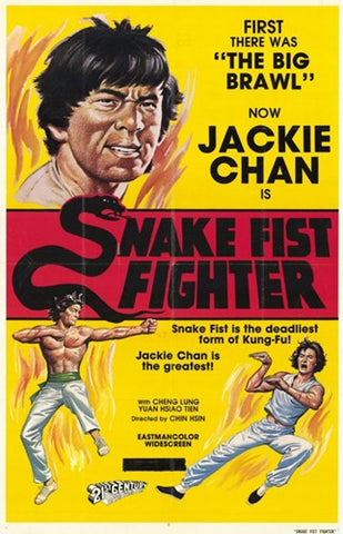 Snake Fistfighter Movie Poster Print