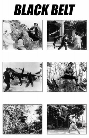 Black Belt Movie Poster Print