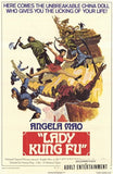 Lady Kung Fu Movie Poster Print