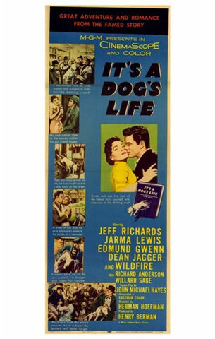 It's a Dog's Life Movie Poster Print