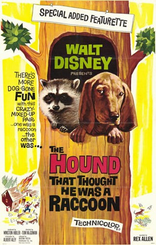 The Hound That Thought He Was a Racoon Movie Poster Print