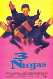 3 Ninjas Movie Poster Print