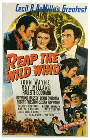 Reap the Wild Wind Movie Poster Print