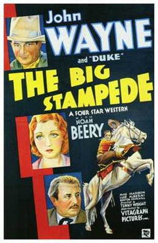 Big Stampede Movie Poster Print