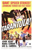Tarantula Movie Poster Print