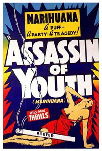 Assassin Of Youth Movie Poster Print