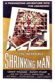 The Incredible Shrinking Man Movie Poster Print
