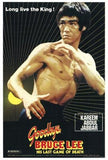 Goodbye Bruce Lee Movie Poster Print
