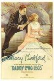 Daddy Long Legs Movie Poster Print